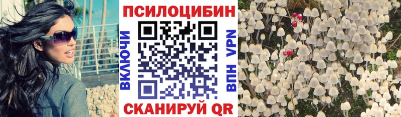 Псилоцибиновые грибы мицелий  Купить закладки  Новомичуринск 